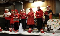 Laulu- ja soitinryhmä Ukkoset ja Runoryhmä esittivät vuorotellen jouluisia runoja sekä lauluja.